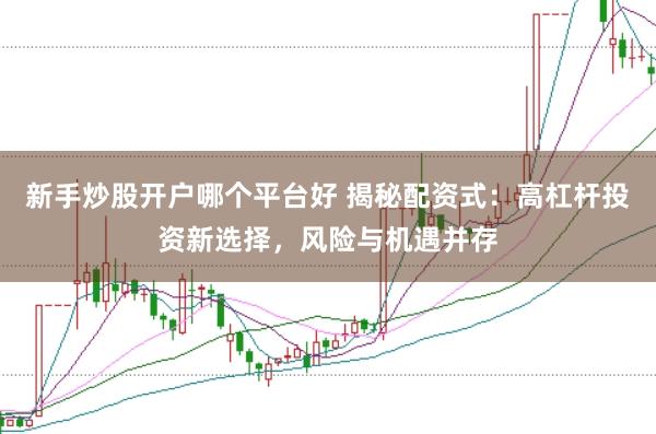 新手炒股开户哪个平台好 揭秘配资式:高杠杆投资新选择,风险与机遇并存